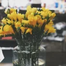 Магазин цветов и подарков ПроЦветы на Солнцевском проспекте 