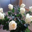 Цветочный салон Люби Цветы на Солнцевском проспекте 
