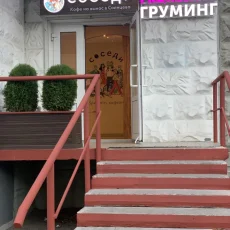 Зоопарикмахерская Balto на Солнцевском проспекте фотография 4